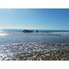 Platja Llarga de Tarragona
