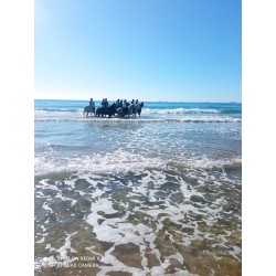 Platja Llarga de Tarragona