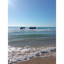 Platja Llarga de Tarragona