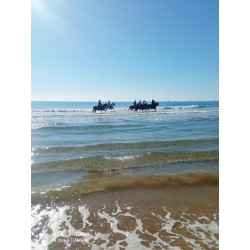 Platja Llarga de Tarragona