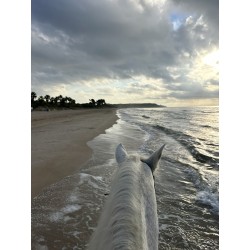 Platja Llarga de Tarragona