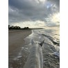 Platja Llarga de Tarragona